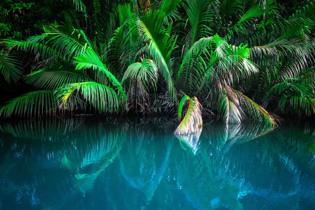 Fantasy landscape of tropical lake